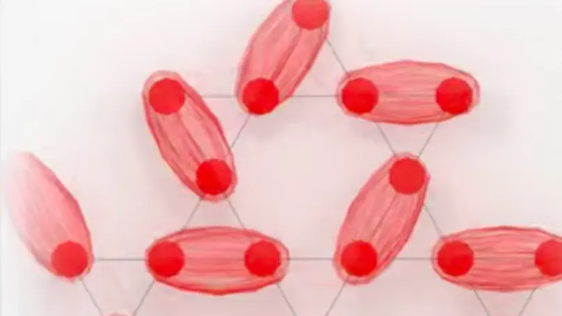 Quantum Phases in a Frustrated XY Model on a 2D Honeycomb Lattice using NQS