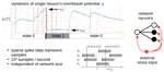 Variational ground state search on the BrainScaleS-2 neuromorphic hardware